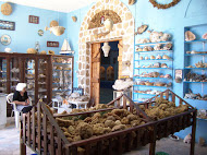 Kalymnos - Wreck findings in Valsamidis Sea World Museum
