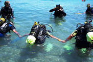 Kalymnos - Diving