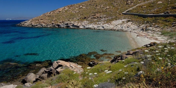 Mykonos - Kapari