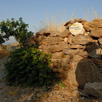 Historical paths