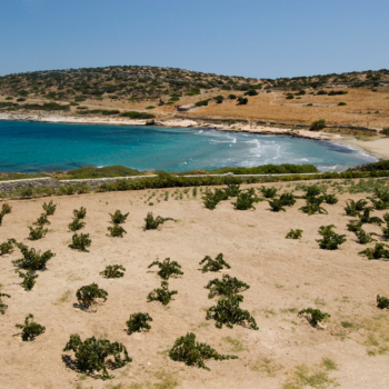 Cyclades - Schinoussa