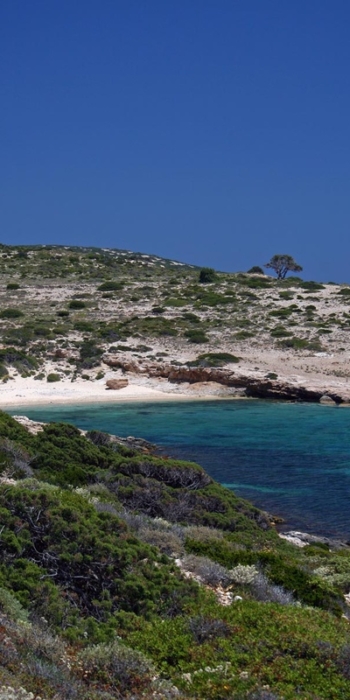 Donousa - Beaches of Kalotaritissa