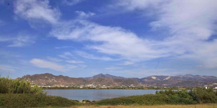 Naxos - Naxos wetlands